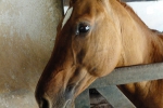 DSC08901