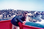 Ilha das Focas