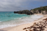 Praia com peixes